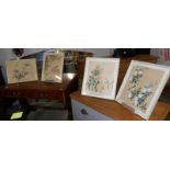 A set of 4 framed and glazed Chinese bird and flower painting (2 signed.).