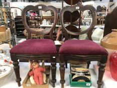 A pair of Victorian mahogany triple balloon back chairs