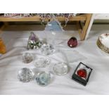 A mixed lot of glass paperweights.