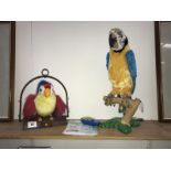 A 'Squawkers McCaw' and 1 other toy parrot.