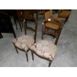 A pair of Edwardian mahogany chairs.