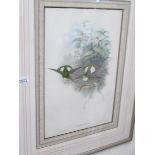 A framed and glazed print depicting birds.
