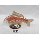 A Royal Crown Derby Koi carp with stopper.