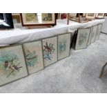 A superb set of 8 framed and glazed oriental paintings of various coloured birds.
