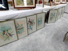 A superb set of 8 framed and glazed oriental paintings of various coloured birds.