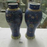 A pair of Chinese vases.