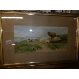A large framed and glazed study of sheep in landscape, signed T F Wainwright, 1865, 74 x 49 cm.