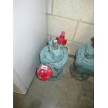 A vintage water hydrant - ultimate garden feature!