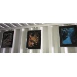 3 framed and glazed oceanographic pictures (Starfish,