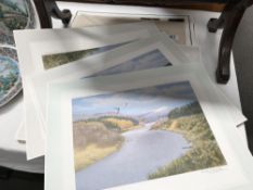 A quantity of signed prints by Richard Robjent and assorted signed prints of birds