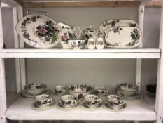 2 shelves of Myott Meakin Dynasty collection exotic garden dinnerware