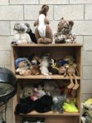 3 shelves of soft toys