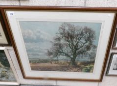 A framed and glazed landscape print.