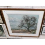 A framed and glazed landscape print.