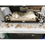 A large quantity of seashells