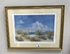 A framed and glazed print of Oystercatchers on the dunes, from a painting by John Hamilton.