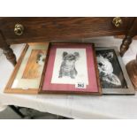 3 framed & glazed pictures of dogs