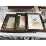 3 framed pictures of flowers