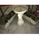 2 garden planters with plants