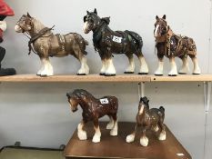 5 china carthorses (including a foal)