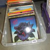 In excess of 40 albums including Deep Purple, Queen, Thin LIzzy, Rolling Stones etc.