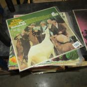 13 Beach Boys albums including Pet Sounds, Endless Summer etc.