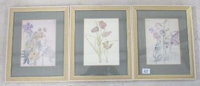 Three framed and glazed Charles Rennie Mackintosh botanical prints