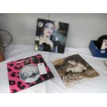 Three Madonna LP records