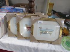 4 new framed and glazed picture of Baths