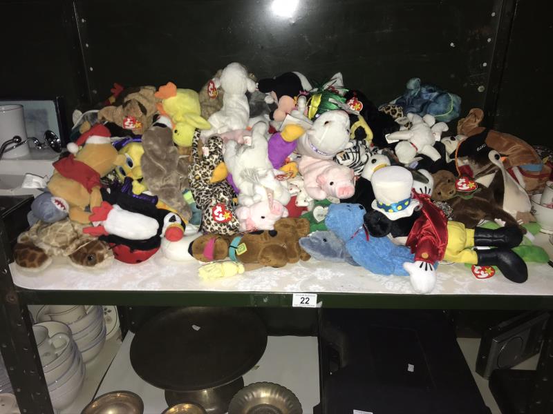 A large collection of TY beanie babies