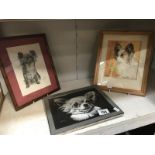 3 framed and glazed sketches/paintings of chihuahuas