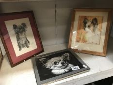 3 framed and glazed sketches/paintings of chihuahuas