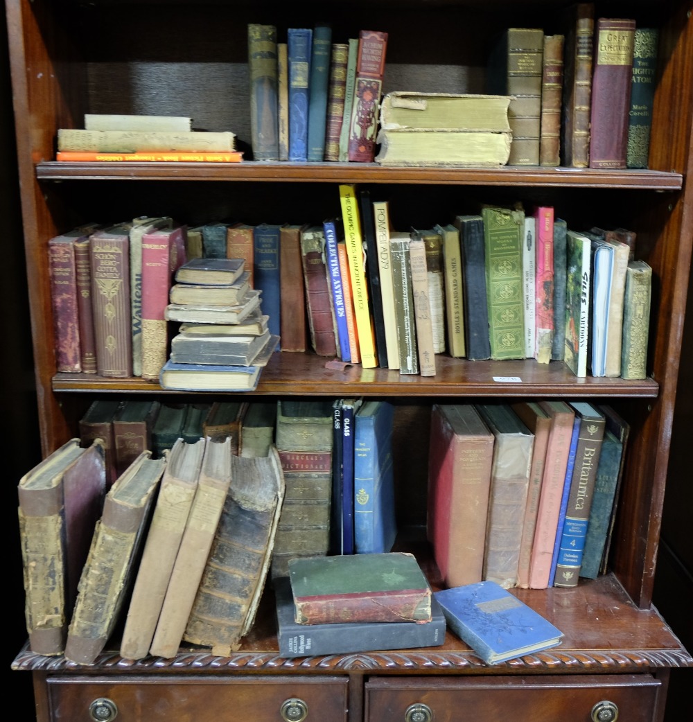 3 shelves of Books – old novels, dictionary, historic etc