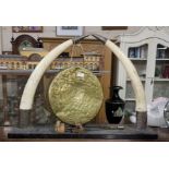 Pair of mounted Ivory Tusks with silver plated tips supporting a brass Table Gong, 80cm w x 62cm h