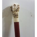 Walking Stick, the hardwood base mounted with a bone designed face of a retriever dog, 73cm high