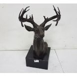 Bronze Study of a Stag's Head on a square marble base, 30cm w x 50cm h
