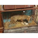Taxidermy - stuffed Fox with Pheasant, glass case, 115cm w x 60cm h