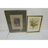 Colour floral Lithograph & "Matches"- antique lithograph of boy (2)