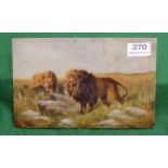 Small Oil on Board of a Lion and a Lioness, in a natural landscape, 15cm x 24cm, signed verso “