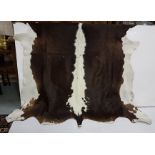 Large brown and white cow hide (full size)