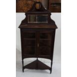 A late 19th century mahogany corner unit with raised carved mirrored back, central shelves & lower-