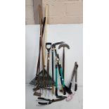 Group of garden tools and a (green) metal ladder