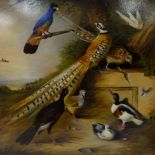 HASSEL McCOSH, a large oil on canvas, a Classical Victorian Aviary with game fowl and colourful