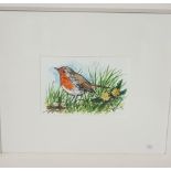 ANDY SAUNDERS, Watercolour “Robin”, 12cm x 17cm, in a white frame