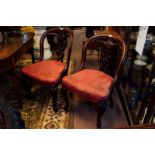 Pair of carved mahogany side chairs on cabriole legs and brass casters.