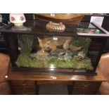 Exceptional quality glazed taxidermy case including a fox, pheasant and grey squirrel.