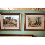 Pair of gilt framed Maurice C Wilkes watercolours - Woodland Scenes.