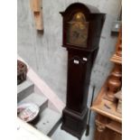 Grand daughter clock.(150 cm h)