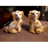 Pair of chalk models of spaniel dogs. (32cm h).