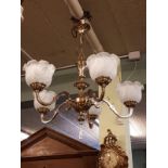 Pair of early 20th C. brass five branch chandeliers with glass shades.